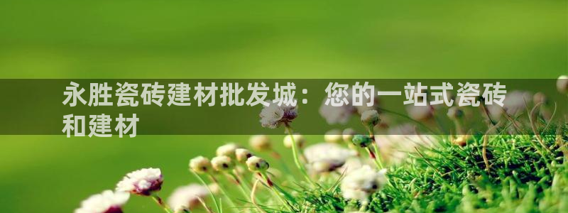 杏鑫平台代理注册