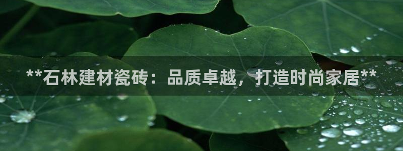 杏鑫娱乐官网登录