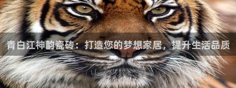 杏鑫平台怎么样黑钱吗安全吗是真的吗