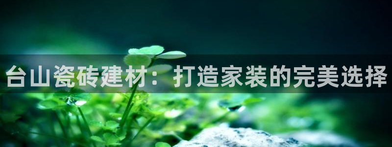 杏鑫平台代理怎么样啊