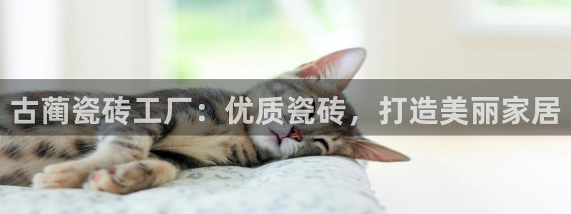 杏鑫平台招商怎么样可靠吗