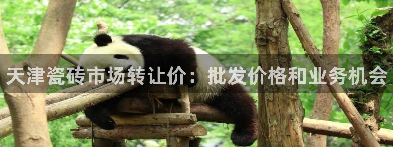 杏鑫娱乐平台