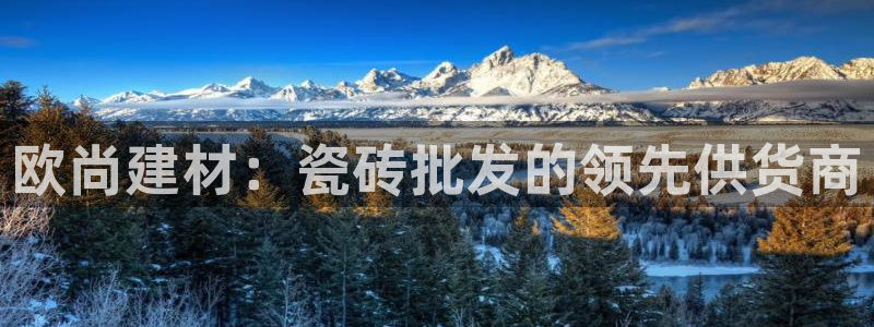 杏鑫平台注册入口在哪里找