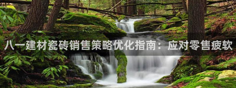 杏鑫主管