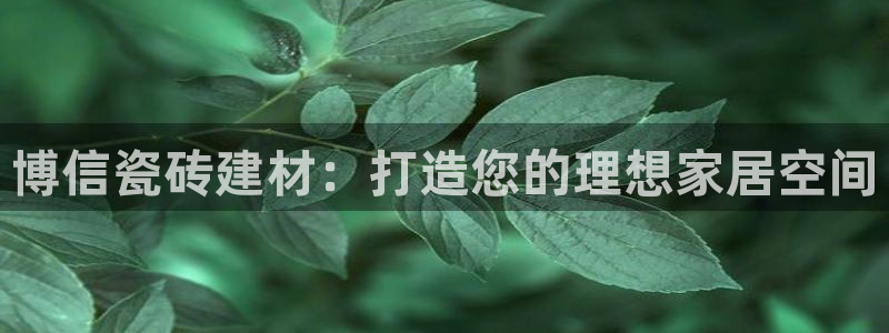 杏鑫官方平台怎么样啊