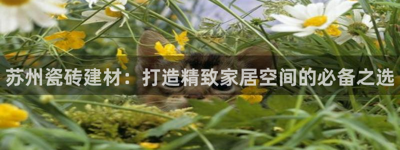 杏鑫官网最新信息新闻