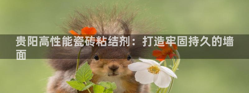 杏鑫代理注册登录