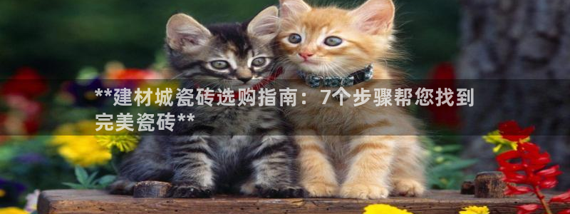 杏鑫官网注册账号怎么注册不了
