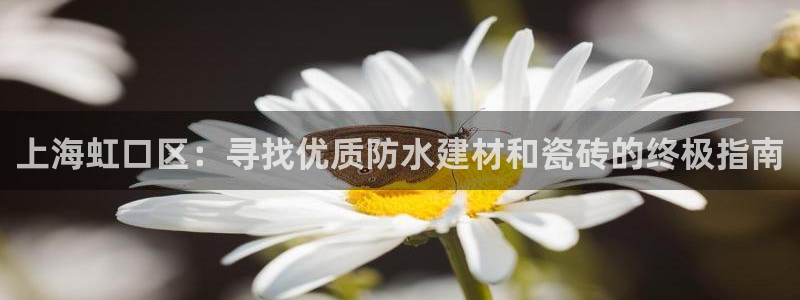 杏鑫平台注册网址是什么