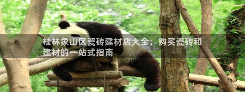 杏鑫代理注册平台
