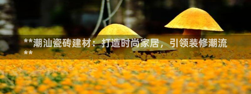 杏鑫平台招商电话