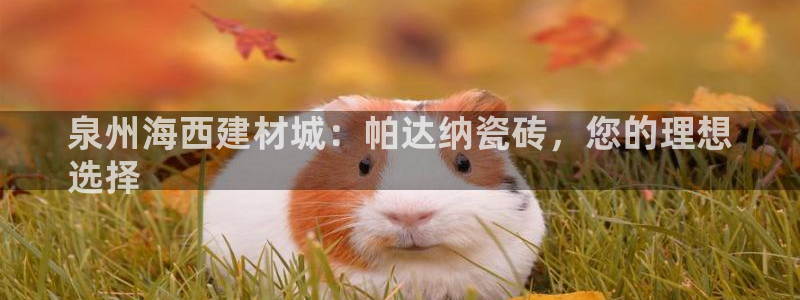 杏鑫平台下载安装