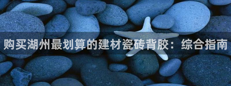 杏鑫平台代理注册多少钱一年