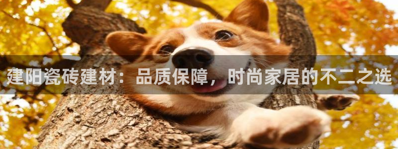 杏鑫平台怎么样黑钱吗知乎推荐