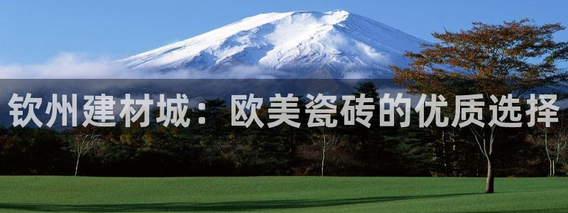 杏鑫平台注册地址是哪里