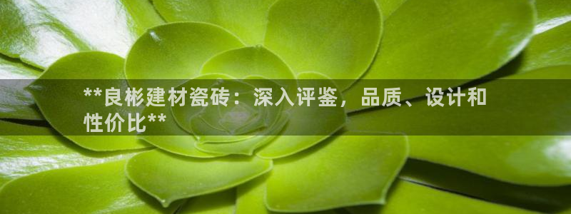 杏鑫娱乐官方网站客户端下载安装