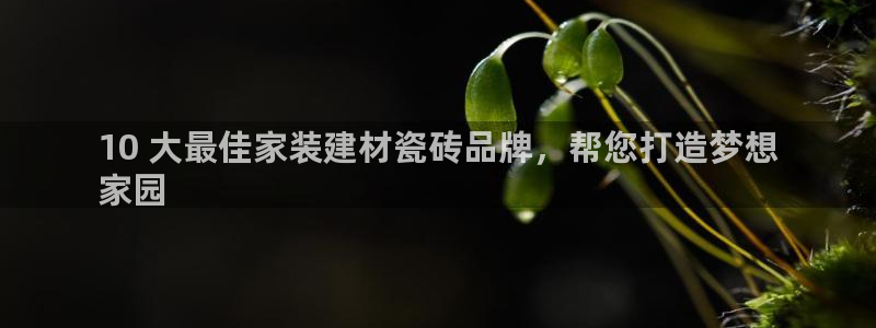 杏鑫平台是黑平台吗
