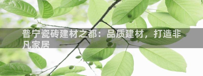 杏鑫官网注册账号怎么注册的