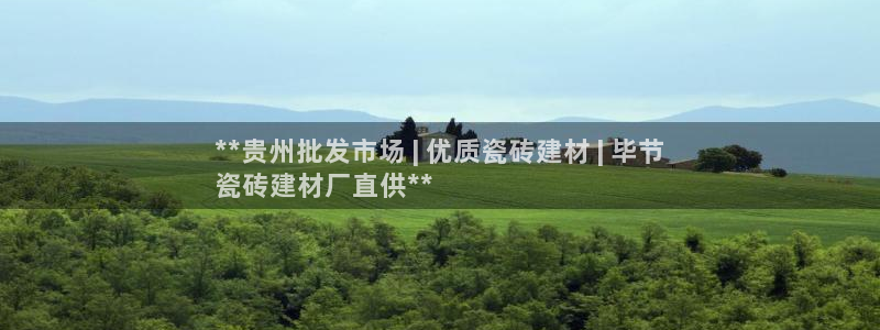 杏鑫平台代理怎么做的