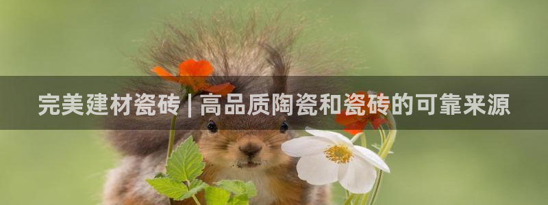 杏鑫平台在线注册流程