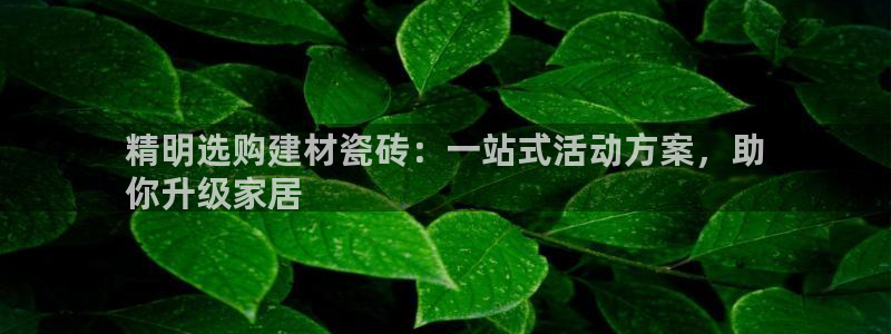 杏鑫平台在线注册流程