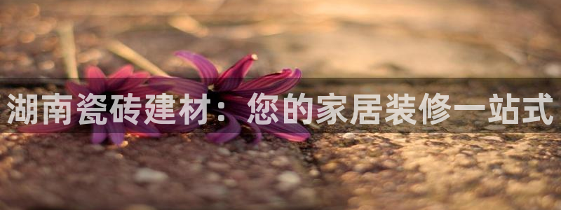 杏鑫注册登录网址是多少