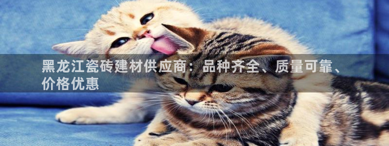 杏鑫娱乐官方网站客户端下载