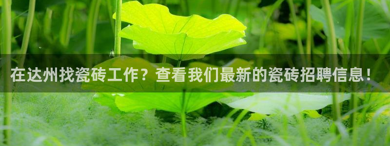 杏鑫平台平台娱乐