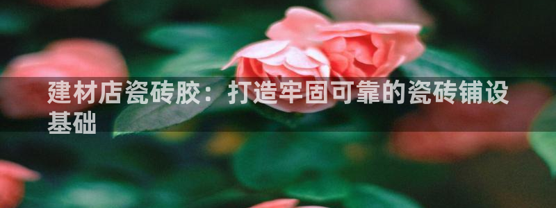 杏鑫平台代理注册