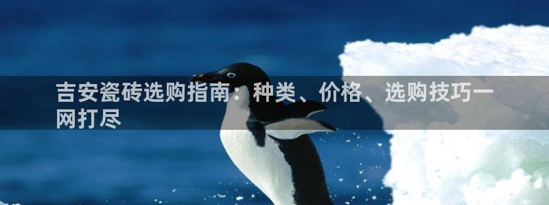 杏鑫平台念7O777