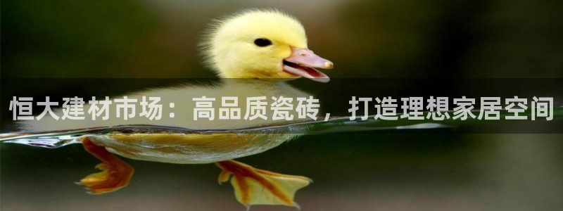 杏鑫平台注册登录