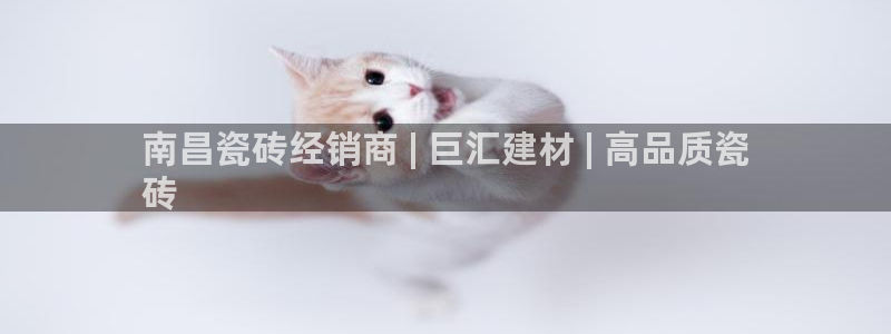 杏鑫平台注册地址