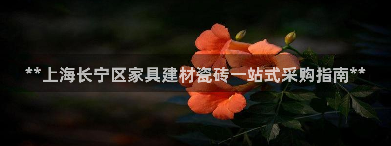 杏鑫娱乐是真的吗