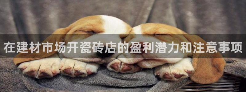 杏鑫平台代理怎么做的
