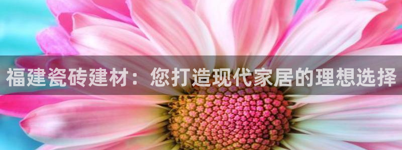 杏鑫官方平台怎么样啊