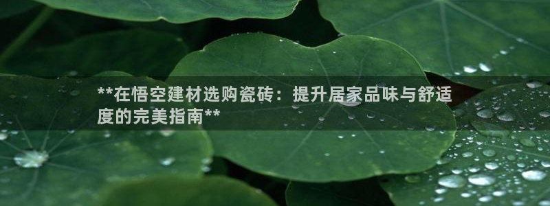 杏鑫平台代理注册多少钱啊