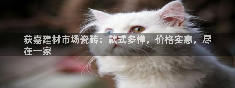 杏鑫平台正规吗