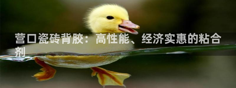 杏鑫平台怎么样黑钱吗安全吗可靠吗