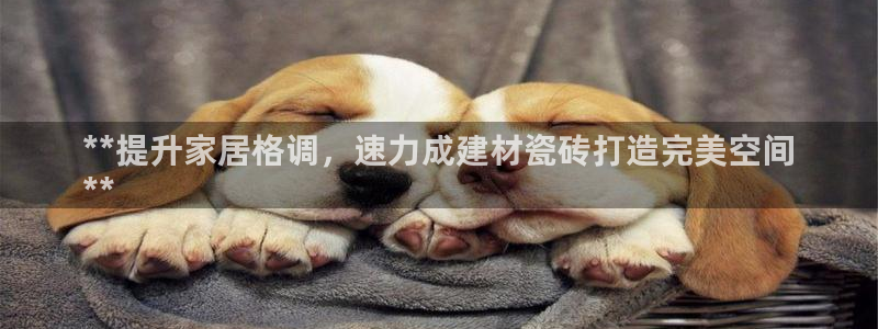 杏鑫娱乐官方网站客户端登录
