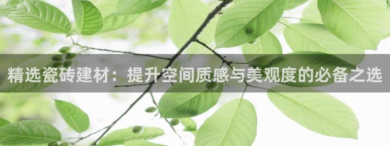 杏鑫官网最新信息新闻
