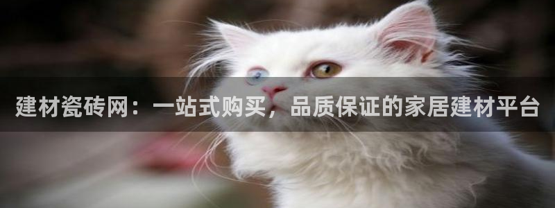 杏鑫注册登录代理