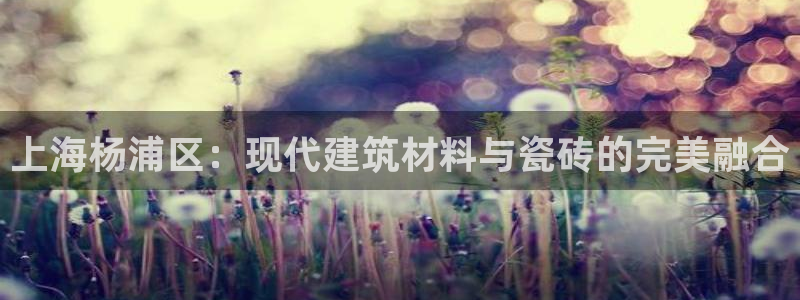 杏鑫官网注册账号密码