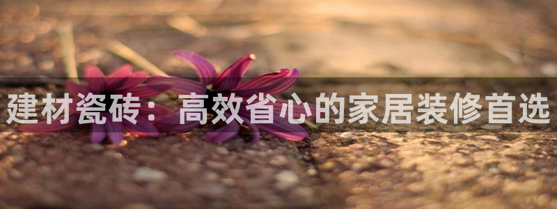 杏鑫平台怎么样黑钱吗是真的吗