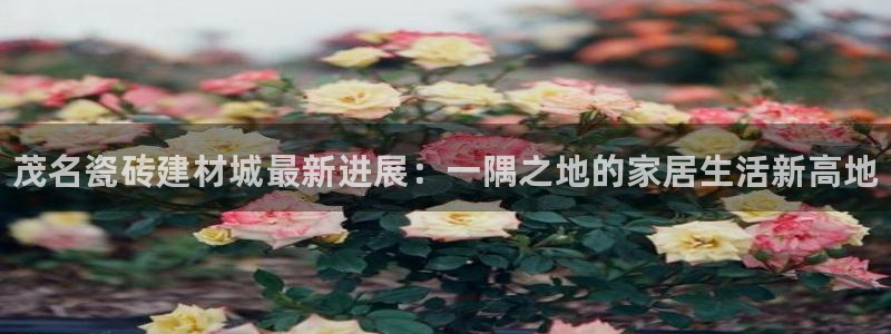 杏鑫平台线路测速