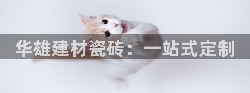 杏鑫娱乐官方网站客户端下载