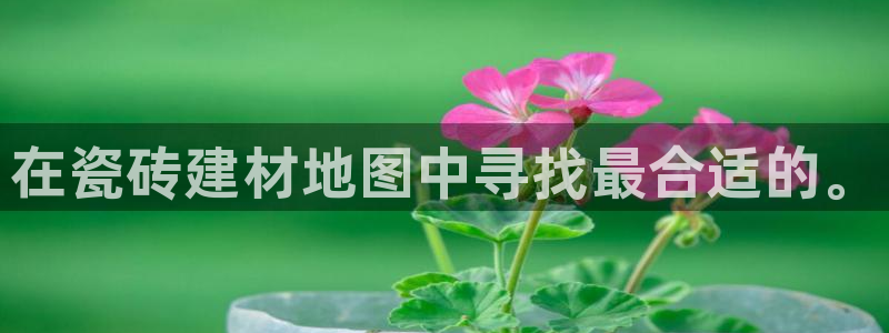 杏鑫平台代理怎么样