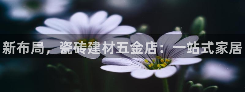 杏鑫官方平台怎么样啊知乎