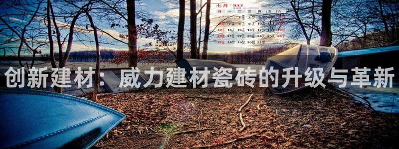 杏鑫注册平台官方网站是什么