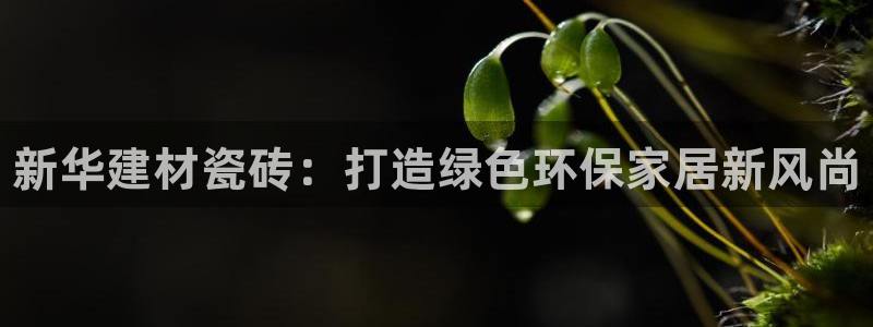 杏鑫平台怎么样黑钱吗是真的吗