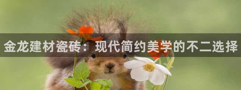 杏鑫官网注册账号怎么注册